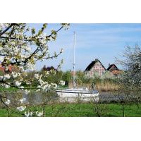 9000_1799 Kirschblüte im Alten Land an der Este - Segelboot unter Motor in Fahrt. | Stadtteil Hamburg Cranz - Bezirk Hamburg Harburg - Lauf der Este im Alten Land